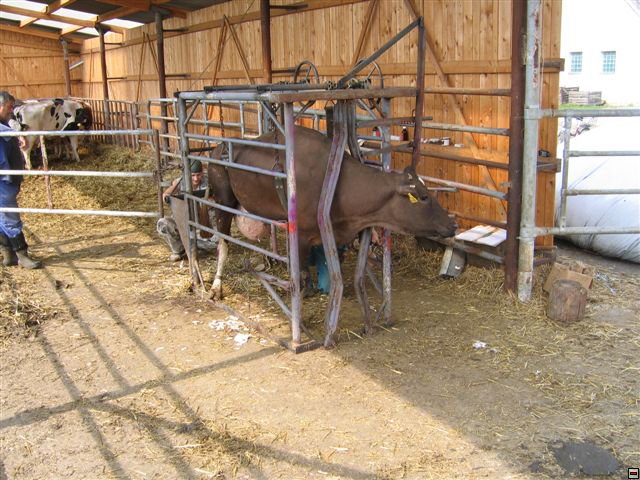 Troubelice 2006 045.jpg